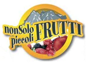 Non-solo-piccoli-frutti