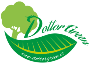 dottor green